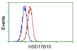 ICC/IF analysis of COS7 cells transiently transfected with ERAB plasmid using GTX84344 ERAB antibody [5E2].