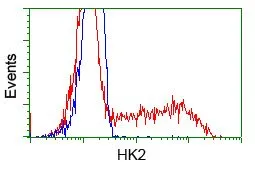 FACS analysis of HEK293T cells transfected with either Hexokinase II plasmid(Red) or empty vector control plasmid(Blue) using GTX84357 Hexokinase II antibody [4C5].