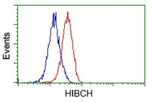 FACS analysis of Jurkat cells using GTX84362 HIBCH antibody [1C7]. Red : Primary antibody Blue : Negative control antibody