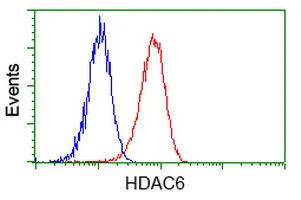 FACS analysis of HeLa cells using GTX84379 HDAC6 antibody [1D11]. Red : Primary antibody Blue : Negative control antibody