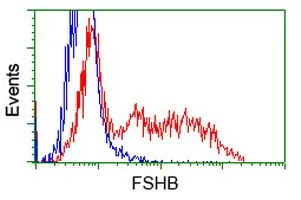 FACS analysis of HEK293T cells transfected with either FSH beta plasmid(Red) or empty vector control plasmid(Blue) using GTX84474 FSH beta antibody [3A9].