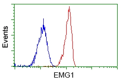 FACS analysis of Jurkat cells using GTX84576 EMG1 antibody [1B8]. Red : Primary antibody Blue : Negative control antibody