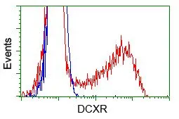 FACS analysis of HEK293T cells transfected with either DCXR plasmid(Red) or empty vector control plasmid(Blue) using GTX84623 DCXR antibody [4D11].