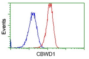 FACS analysis of HeLa cells using GTX84728 CBWD1 antibody [4E8]. Red : Primary antibody Blue : Negative control antibody