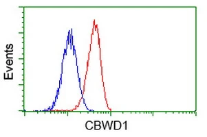 FACS analysis of Jurkat cells using GTX84728 CBWD1 antibody [4E8]. Red : Primary antibody Blue : Negative control antibody