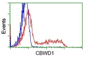 FACS analysis of HEK293T cells transfected with either CBWD1 plasmid(Red) or empty vector control plasmid(Blue) using GTX84728 CBWD1 antibody [4E8].