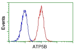 FACS analysis of Jurkat cells using GTX84848 ATP5B antibody [6C4]. Red : Primary antibody Blue : Negative control antibody