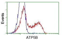 FACS analysis of HEK293T cells transfected with either ATP5B plasmid(Red) or empty vector control plasmid(Blue) using GTX84848 ATP5B antibody [6C4].