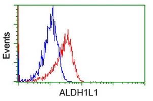 FACS analysis of Jurkat cells using GTX84894 ALDH1L1 antibody [7G6]. Red : Primary antibody Blue : Negative control antibody