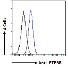 FACS analysis of PFA-fixed A431 cells using GTX88020 PTPRB antibody, Internal. Blue : Primary antibody Black : Unimmunized goat IgG Permeabilization : 0.5% Triton Dilution : 10ug/ml FACS analysis of PFA-fixed A431 cells using GTX88020 PTPRB antibody, Internal. Blue : Primary antibody Black : Unimmunized goat IgG Permeabilization : 0.5% Triton Dilution : 10ug/ml