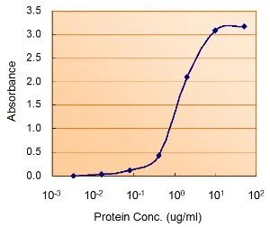 ELISA analysis of AMPK alpha 2 protein using GTX88046 AMPK alpha 2 antibody, Internal. Capture : GTX113251 (2.5microg/ml) Detection : GTX88046 (1.5microg/ml) ELISA analysis of AMPK alpha 2 protein using GTX88046 AMPK alpha 2 antibody, Internal. Capture : GTX113251 (2.5microg/ml) Detection : GTX88046 (1.5microg/ml)