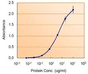 ELISA analysis of Nodal protein using GTX88954 Nodal antibody, Internal. Capture : GTX106644 (5microg/ml) Detection : GTX88954 (1.5microg/ml) ELISA analysis of Nodal protein using GTX88954 Nodal antibody, Internal. Capture : GTX106644 (5microg/ml) Detection : GTX88954 (1.5microg/ml)