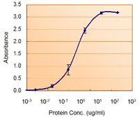 ELISA analysis of SOD1 protein using GTX89049 SOD1 antibody, Internal. Capture : GTX100554 (5microg/ml) Detection : GTX89049 (1.5microg/ml)