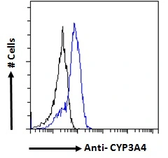 FACS analysis of PFA-fixed HepG2 cells using GTX89375 CYP3A4 antibody, Internal. Blue : Primary antibody Black : Unimmunized goat IgG Permeabilization : 0.5% Triton Dilution : 10ug/ml FACS analysis of PFA-fixed HepG2 cells using GTX89375 CYP3A4 antibody, Internal. Blue : Primary antibody Black : Unimmunized goat IgG Permeabilization : 0.5% Triton Dilution : 10ug/ml