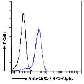 FACS analysis of PFA fixed HeLa cells using GTX89432 HP1 alpha antibody, Internal. Blue : Primary antibody Black : Isotype control Permeabilization : 0.5% Triton Dilution : 10microg/ml
