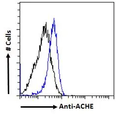 FACS analysis of PFA fixed HeLa cells using GTX89580 AChE antibody, C-term. Blue : Primary antibody Black : Isotype control Permeabilization : 0.5% Triton Dilution : 1microg/ml