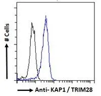 FACS analysis of PFA fixed HeLa cells using GTX89879 KAP1 antibody, C-term. Blue : Primary antibody Black : Isotype control Permeabilization : 0.5% Triton Dilution : 10microg/ml