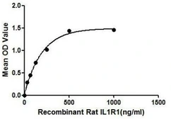 Rat IL1 Receptor 1 protein, His tag. GTX00052-pro