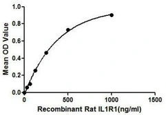 Rat IL1 Receptor 1 protein, His tag. GTX00053-pro