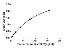 Rat SLIT2 protein, His tag. GTX00062-pro