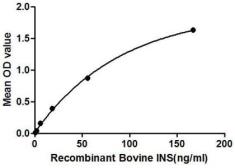 Bovine Insulin protein, His and GST tag. GTX00075-pro