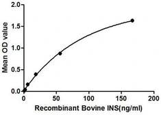 Bovine Insulin protein, His and GST tag. GTX00075-pro