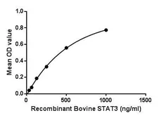 Bovine STAT3 protein, His tag. GTX00076-pro