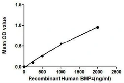 Human BMP4 protein, His tag. GTX00079-pro