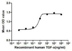 Human TGF alpha protein, His tag (active). GTX00100-pro