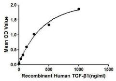 Human TGF beta 1 protein, His tag. GTX00101-pro