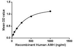 Human AMH protein, His tag. GTX00109-pro