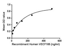 Human VEGF165 protein, His tag. GTX00110-pro