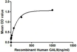 Human Galectin 9 protein, His tag. GTX00111-pro