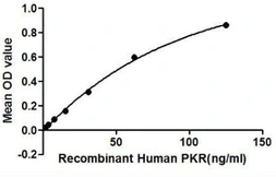 Human PKR protein, His tag. GTX00113-pro