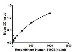 Human S100 beta protein, His tag. GTX00117-pro