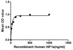 Human HIF1 alpha protein, His tag. GTX00119-pro