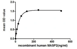 Human MASP2 protein, His tag. GTX00122-pro