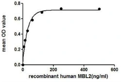 Human MBL2 protein, His and GST tag. GTX00127-pro