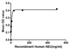 Human NEU1 protein, His tag. GTX00130-pro