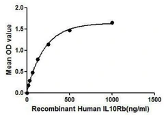 Human IL10 Receptor beta protein, His tag. GTX00131-pro