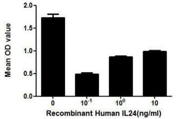 Human IL24 protein, His tag (active). GTX00138-pro