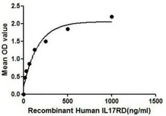 Human IL17 Receptor D protein, His tag. GTX00142-pro