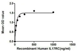 Human IL17 Receptor C protein, His tag. GTX00143-pro