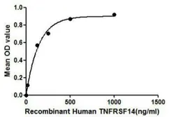 Human TNFRSF14 protein, His tag. GTX00145-pro