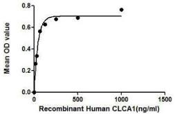 Human CLCA1 protein, His tag. GTX00147-pro
