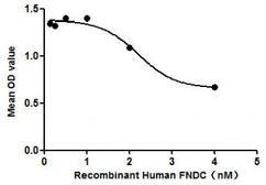 Human FNDC5 protein, His tag (active). GTX00149-pro