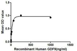 Human GDF9 protein, His tag. GTX00151-pro