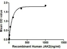 Human JAK2 protein, His tag. GTX00152-pro