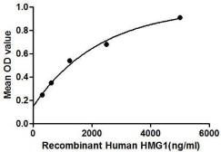 Human HMGB1 protein, His tag. GTX00153-pro