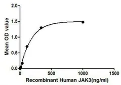 Human JAK3 protein, His tag. GTX00160-pro